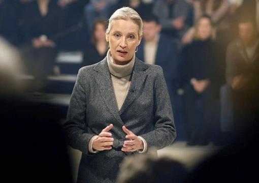 alice-weidel-afd_1.jpg